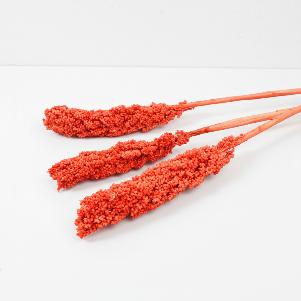 Sušený čirok Indian Corn oranžový – přírodní dekorace s hřejivým tónem